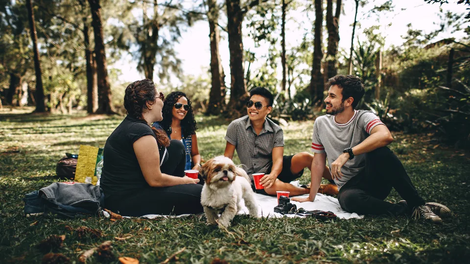 A group of friends sitting together on the grass in a park